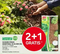 Brico Schors pinus maritima 10-25 MM aanbieding