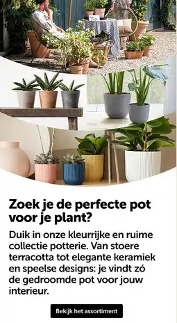 AVEVE Zoek je de perfecte pot voor je plant aanbieding