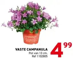 Trafic Vaste campanula aanbieding