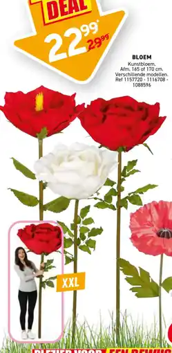 Trafic Bloem aanbieding