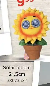 Euroshop Solar bloem aanbieding