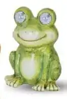 Euroshop Solar Kikker aanbieding