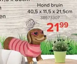Euroshop Hond bruin aanbieding
