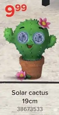 Euroshop Solar cactus aanbieding