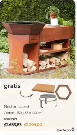 Europoint barbecook Nestor Island aanbieding