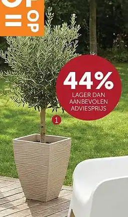 Zelfbouwmarkt BLOEMPOT SYLT aanbieding