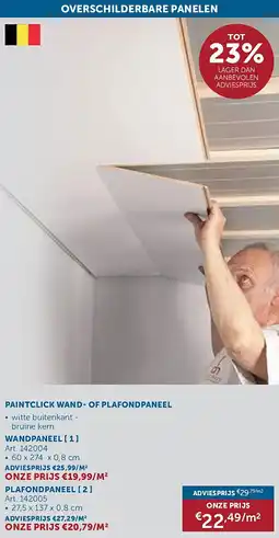 Zelfbouwmarkt PAINTCLICK WAND- OF PLAFONDPANEEL aanbieding