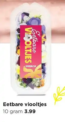 Jumbo Eetbare viooltjes aanbieding