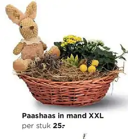 Jumbo Paashaas in mand XXL aanbieding