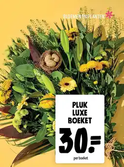 Jumbo PLUK luxe boeket aanbieding