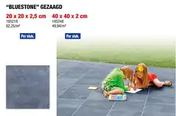 Hubo Bluestone terrastegel 40x40x2 cm 0,16m² gezaagd blauwe hardsteen aanbieding