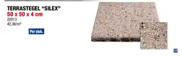 Hubo Silex terrastegel 50x50x4 cm 0,25m² beton wit aanbieding