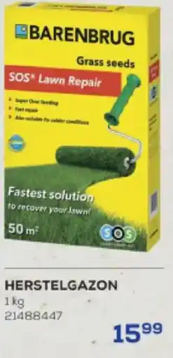 Supra Bazar Herstelgazon aanbieding