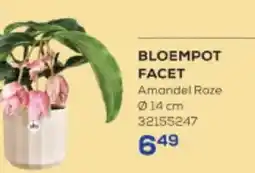 Supra Bazar Bloempot facet aanbieding