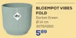 Supra Bazar Bloempot vibes fold aanbieding