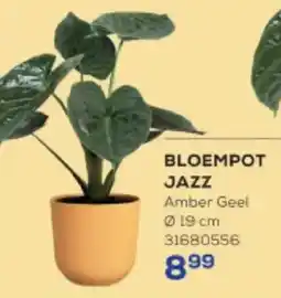 Supra Bazar Bloempot jazz aanbieding