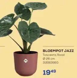 Supra Bazar Bloempot jazz aanbieding