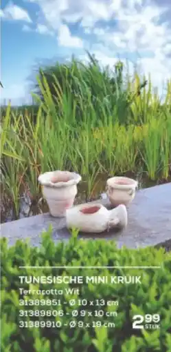 Supra Bazar Tunesische mini kruik aanbieding