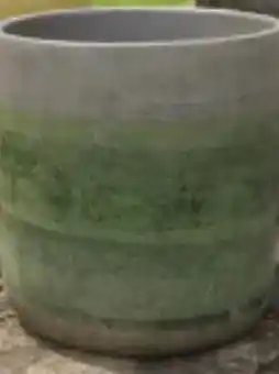 Supra Bazar Bloempot malay ulysee aanbieding