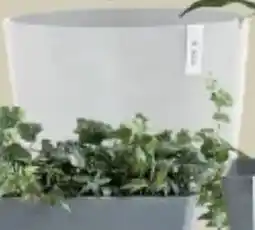 Supra Bazar Bloempot oslo aanbieding