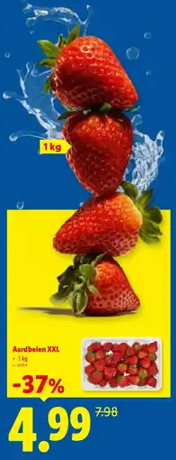 Lidl Aardbeien XXL aanbieding