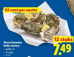 Lidl Verse Zeeuwse holle oesters aanbieding