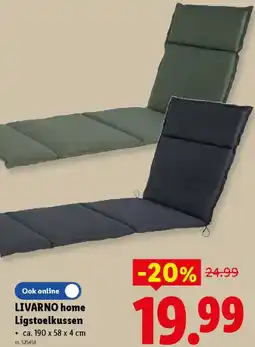 Lidl Livarno home ligstoelkussen aanbieding