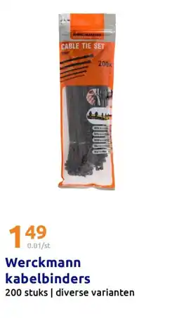 Action Werckmann kabelbinders aanbieding
