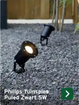 GAMMA Philips Tuinspies Puled Zwart 5W aanbieding