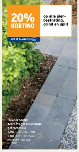 GAMMA Terrastegel Bluestone getrommeld aanbieding