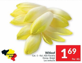 Intermarché Witloof aanbieding
