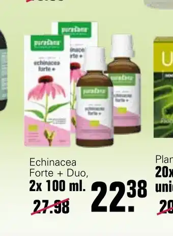 Echinacea Forte + Duo 2 x 100 ml