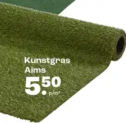 Kwantum Kunstgras Aims aanbieding