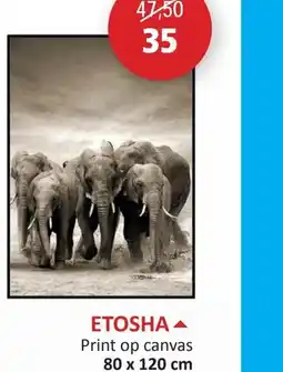 Weba Etosha print op canvas aanbieding
