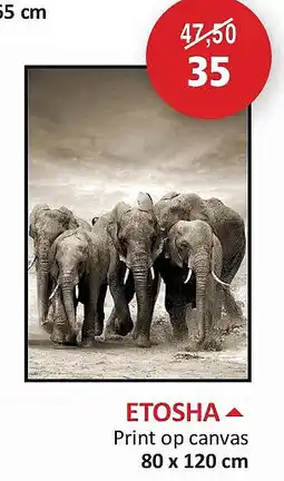 Weba ETOSHA aanbieding