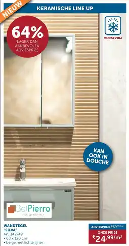 Zelfbouwmarkt WANDTEGEL SILVA aanbieding