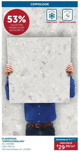 Zelfbouwmarkt VLOERTEGEL CEPPO HYMALAYA aanbieding