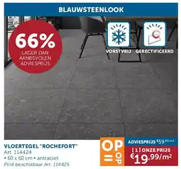 Zelfbouwmarkt VLOERTEGEL ROCHEFORT aanbieding
