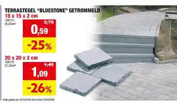 Hubo TERRASTEGEL “BLUESTONE” GETROMMELD 15 x 15 x 2 cm aanbieding