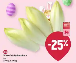 Delhaize Witloof uit hydrocultuur aanbieding