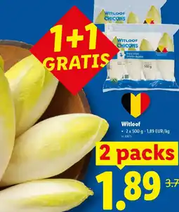 Lidl Witloof aanbieding