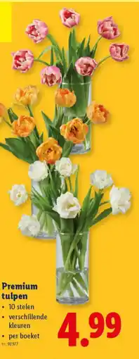 Lidl Premium tulpen aanbieding