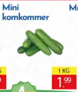Tanger Markt Mini komkommer aanbieding