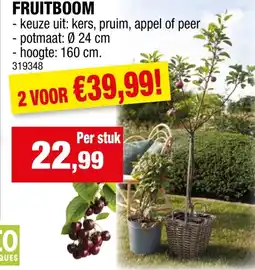 Hubo Fruitboom aanbieding