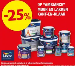 Hubo Op "ambiance" muur en lakken kant-en-klaar aanbieding