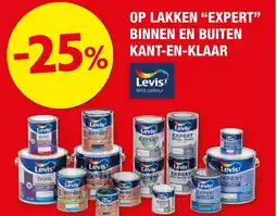 Hubo Op lakken "expert" binnen en buiten kant-en-klaar aanbieding