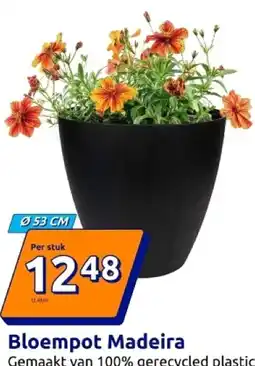 Action Bloempot Madeira aanbieding
