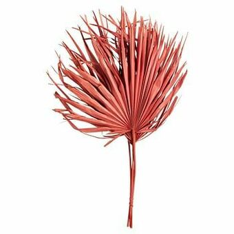 Kwantum Palmblad Naturel Terra aanbieding
