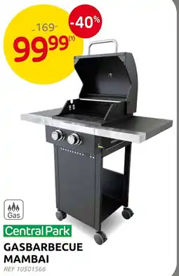 Brico Central park gasbarbecue mambai aanbieding