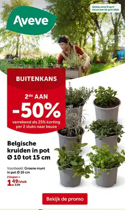 AVEVE Belgische kruiden in pot Ø 10 tot 15 cm aanbieding